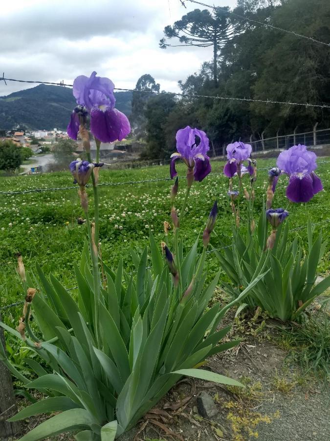Chales Manaca Da Serra Urubici Zewnętrze zdjęcie