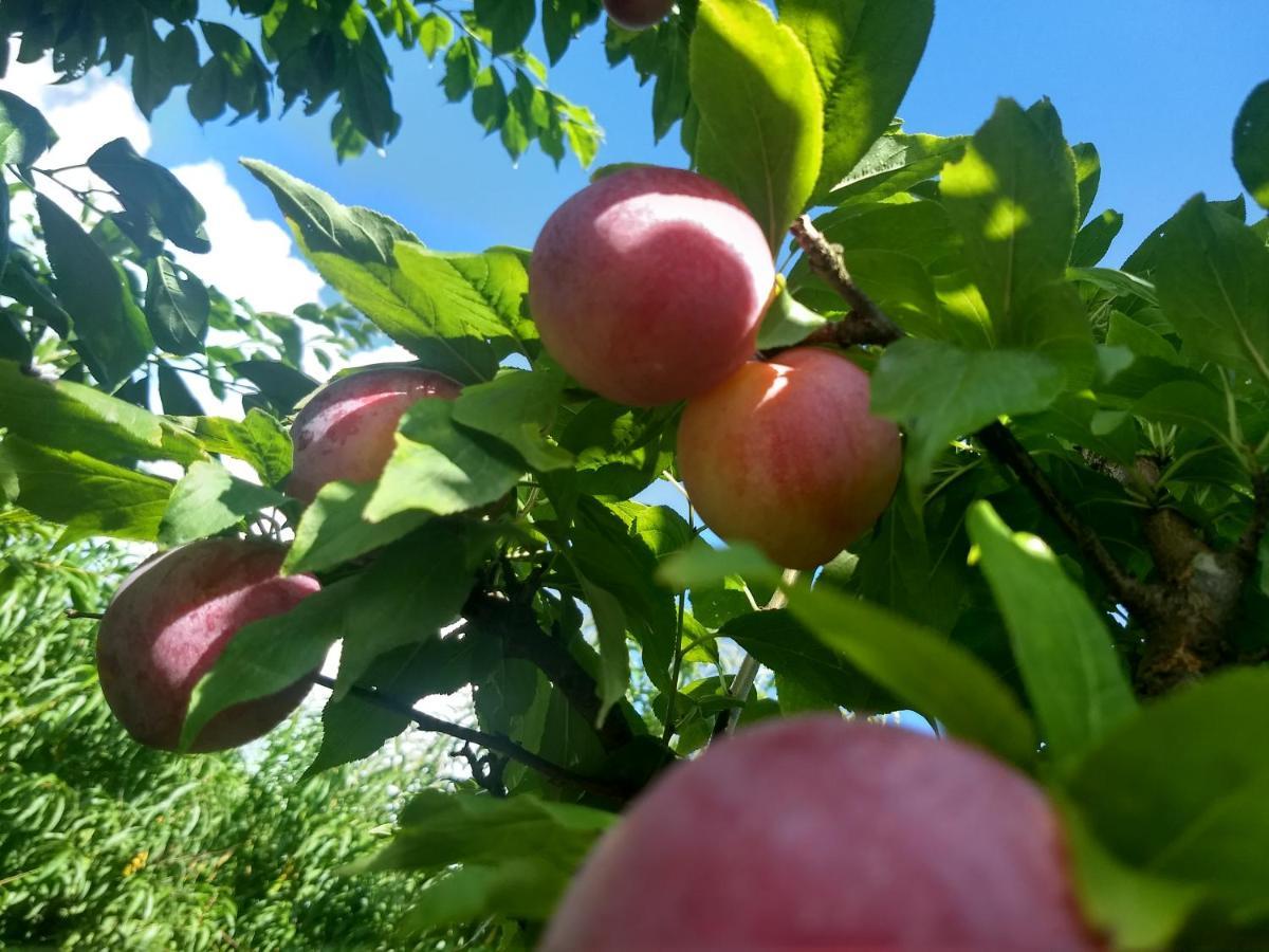 Chales Manaca Da Serra Urubici Zewnętrze zdjęcie