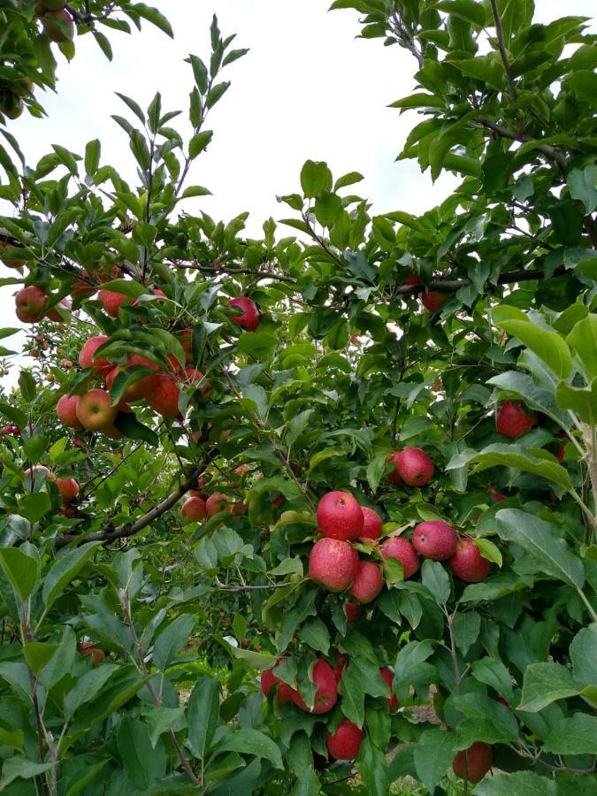Chales Manaca Da Serra Urubici Zewnętrze zdjęcie